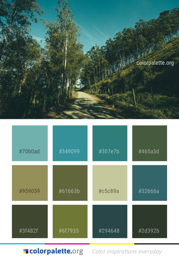 Nature Sky Ecosystem Color Palette