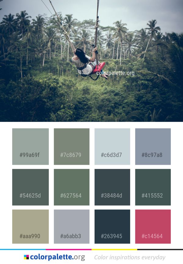 Nature Tree Sky Color Palette