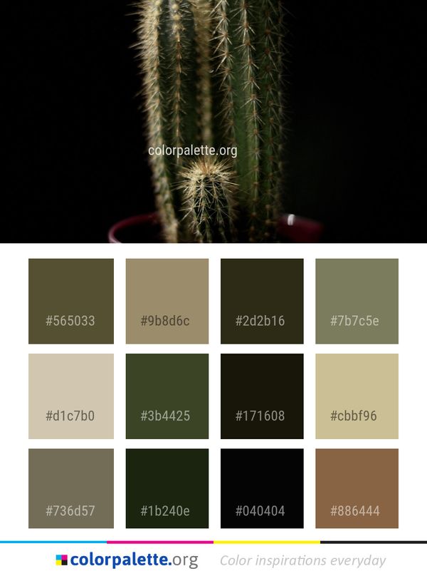 Plant Cactus Hedgehog Color Palette