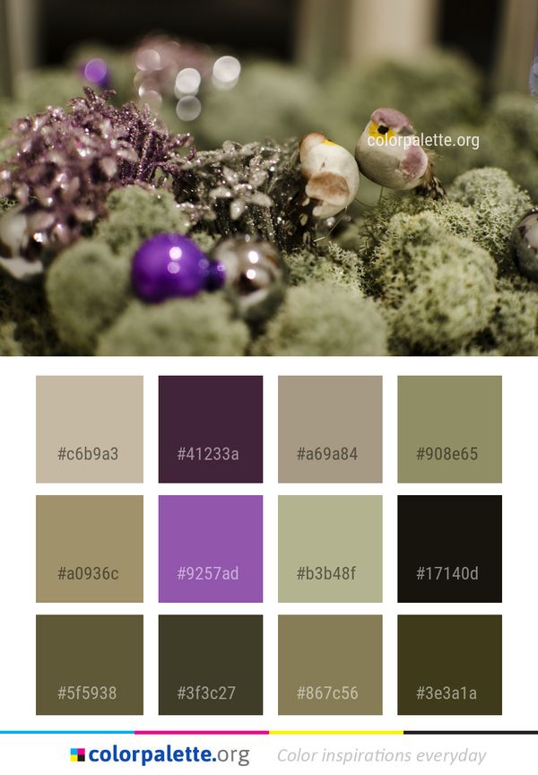 Plant Flower Spring Color Palette