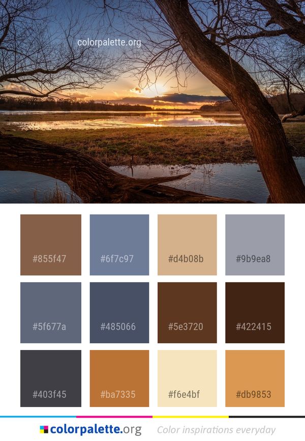 Reflection Nature Tree Color Palette