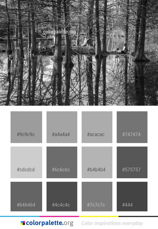 Reflection Tree Water Color Palette