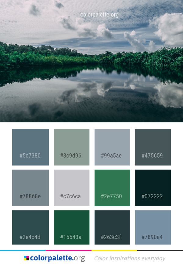 Reflection Water Green Color Palette