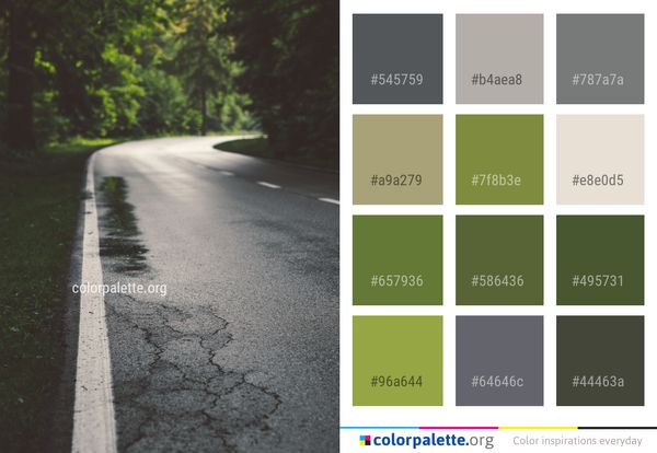 Road Asphalt Lane Color Palette