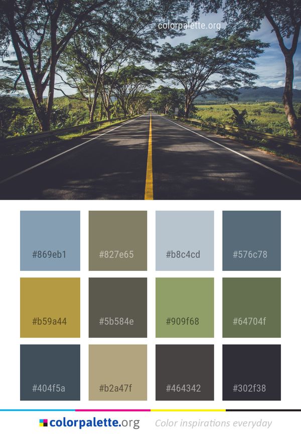 Road Tree Lane Color Palette