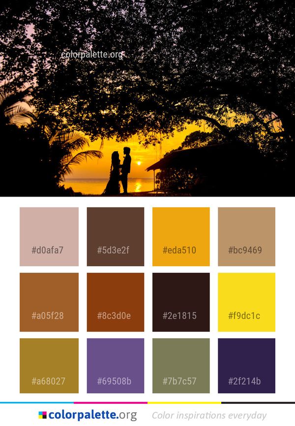 Sky Nature Tree Color Palette