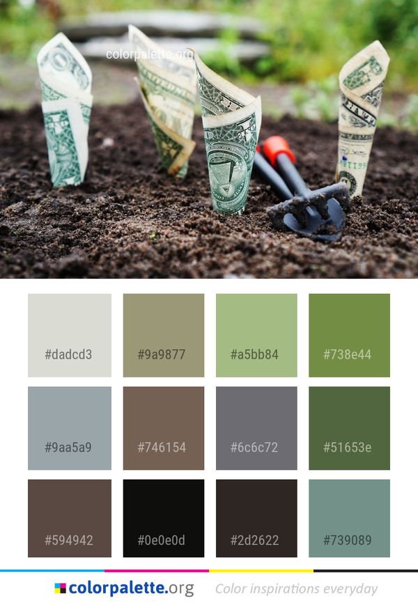Soil Money Plant Color Palette