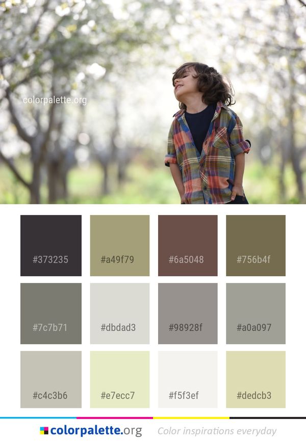 Tree Photograph Clothing Color Palette