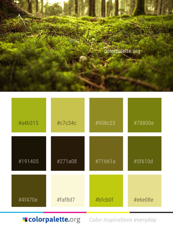 Vegetation Nature Ecosystem Color Palette