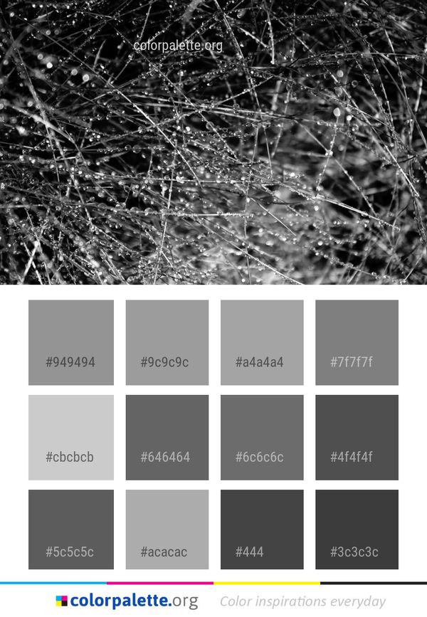 Black And White Branch Color Palette