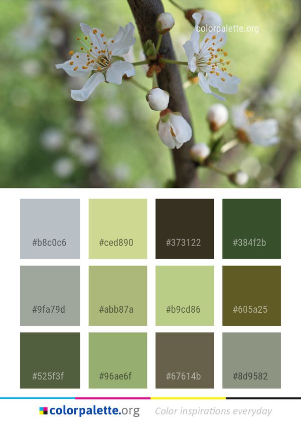 Flora Spring Flower Color Palette
