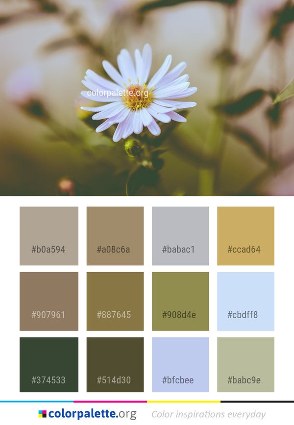 Flower Flora Plant Color Palette