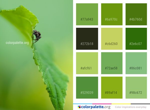 Green Leaf Macro Photography Color Palette