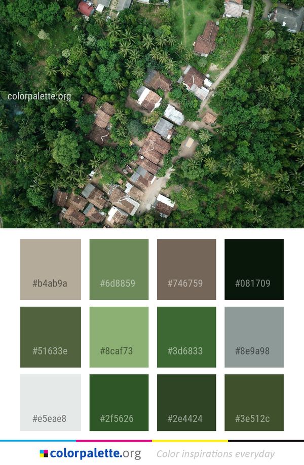 Green Vegetation Aerial Photography Color Palette