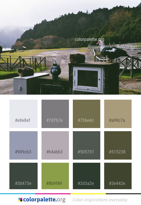 Green Water Plant Color Palette