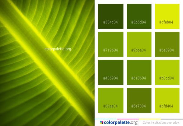 Leaf Green Banana Color Palette
