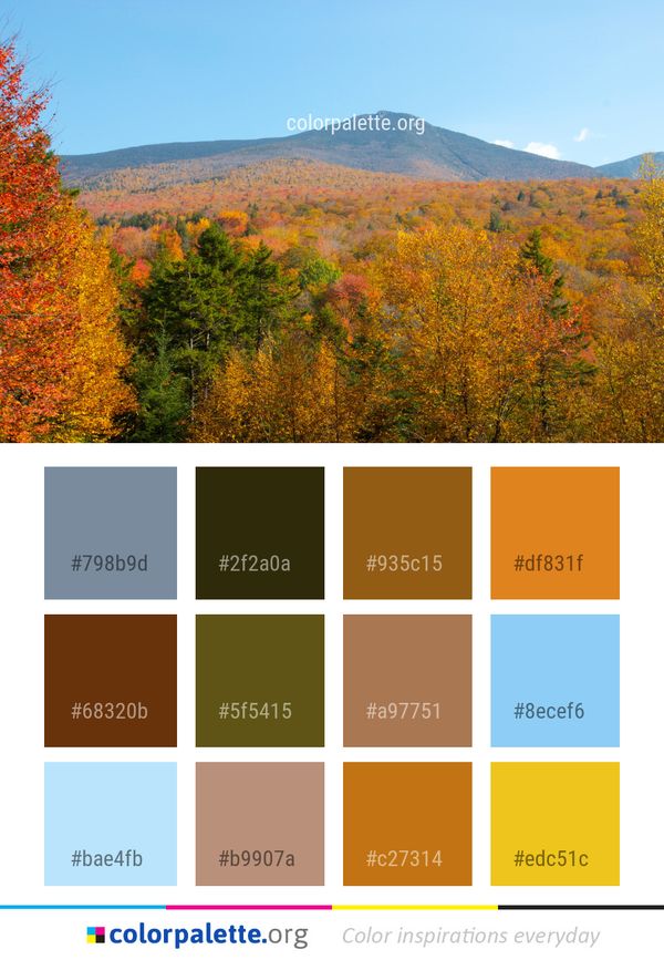Leaf Nature Wilderness Color Palette