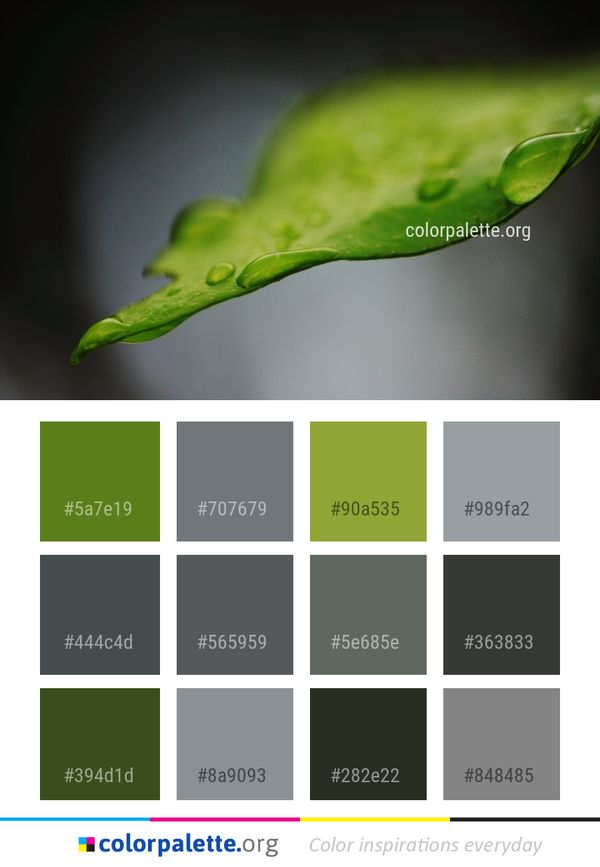 Leaf Water Drop Color Palette
