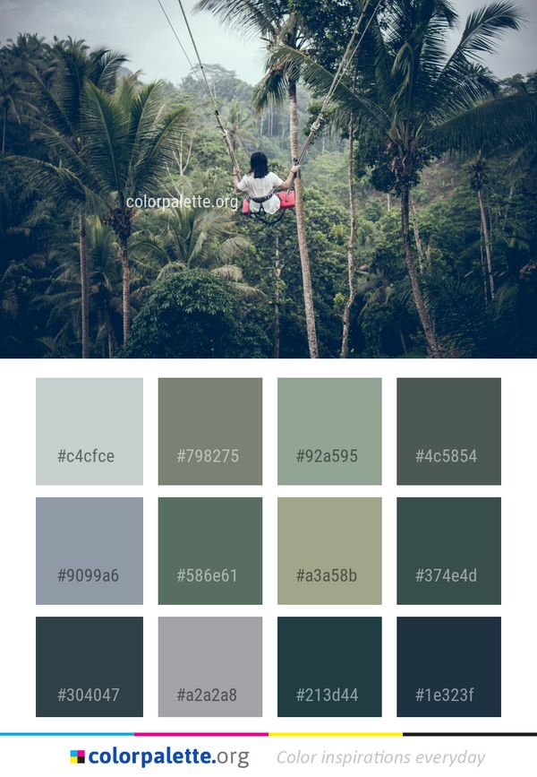 Nature Tree Vegetation Color Palette