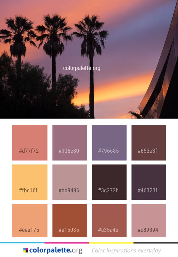 Sky Sunset Palm Tree Color Palette