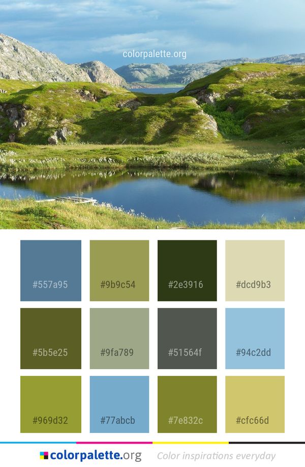 Tarn Nature Reflection Color Palette