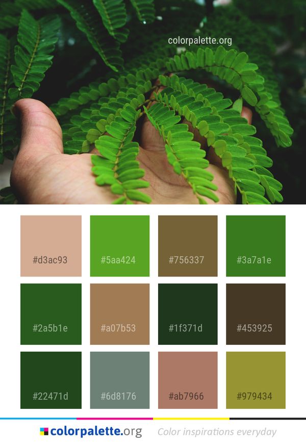 Vegetation Plant Leaf Color Palette