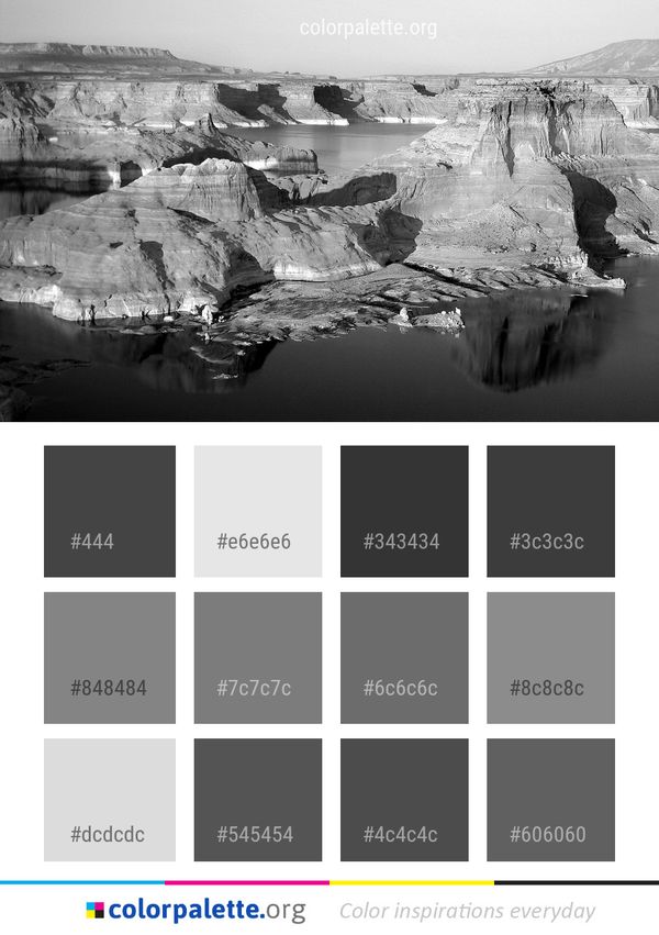 Water Black And White Reflection Color Palette