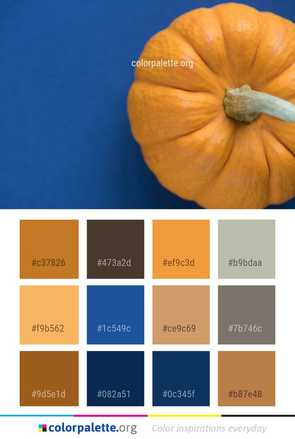 Winter Squash Cucurbita Orange Color Palette