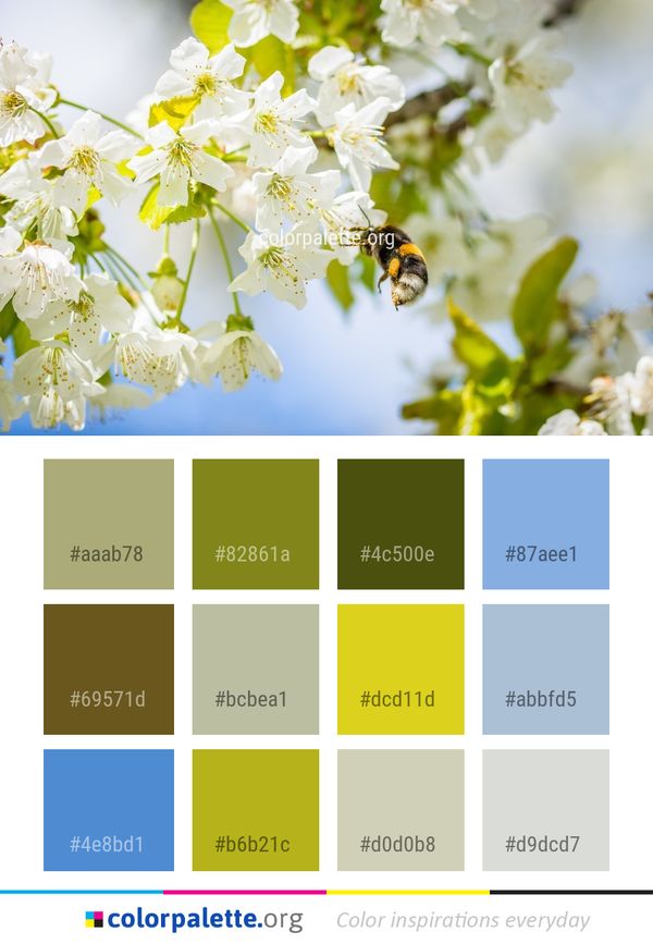 Blossom Bee Flower Color Palette