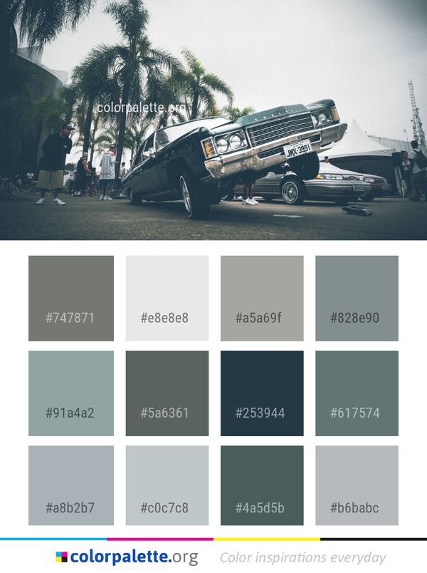 Car Land Vehicle Motor Color Palette