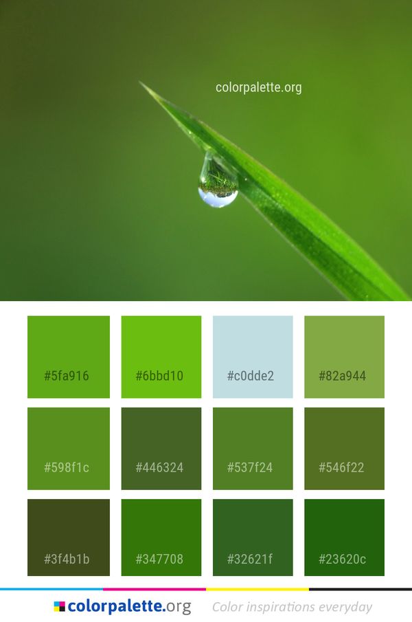 Dew Water Green Color Palette