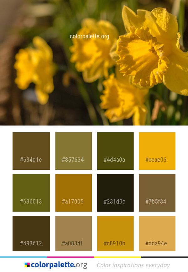 Flower Yellow Flora Color Palette