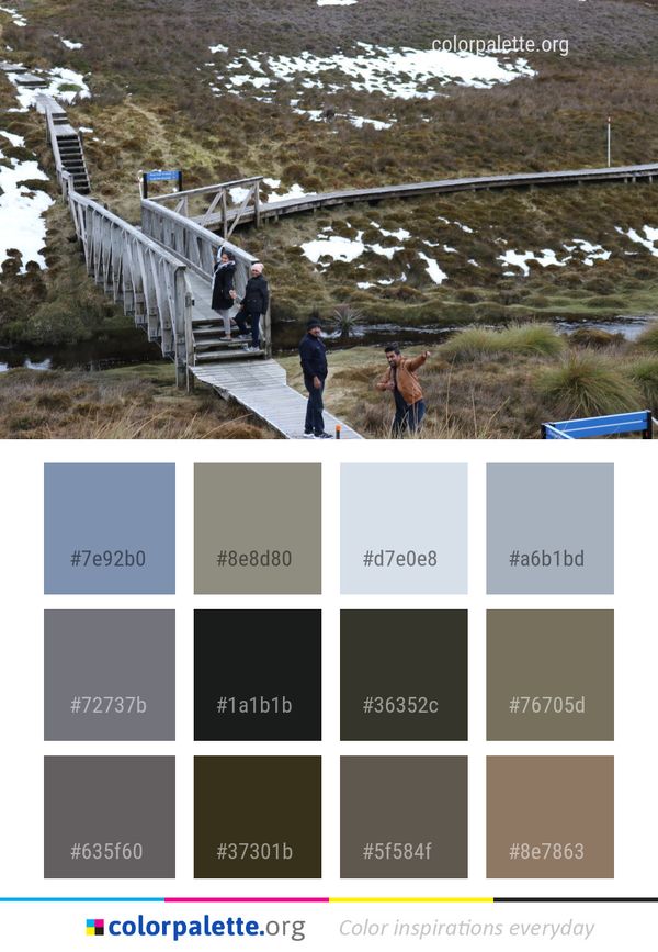 Geological Phenomenon Snow Tree Color Palette