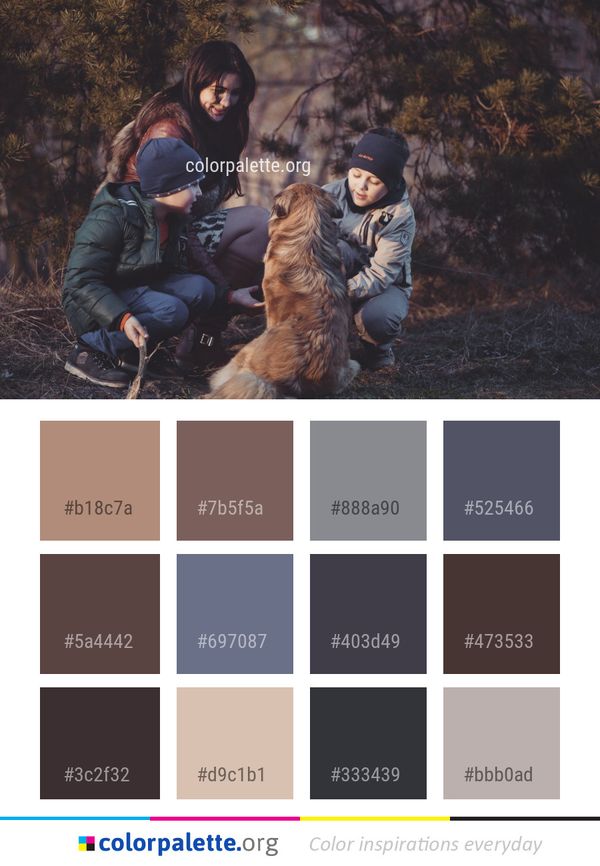 Mammal Tree Vertebrate Color Palette
