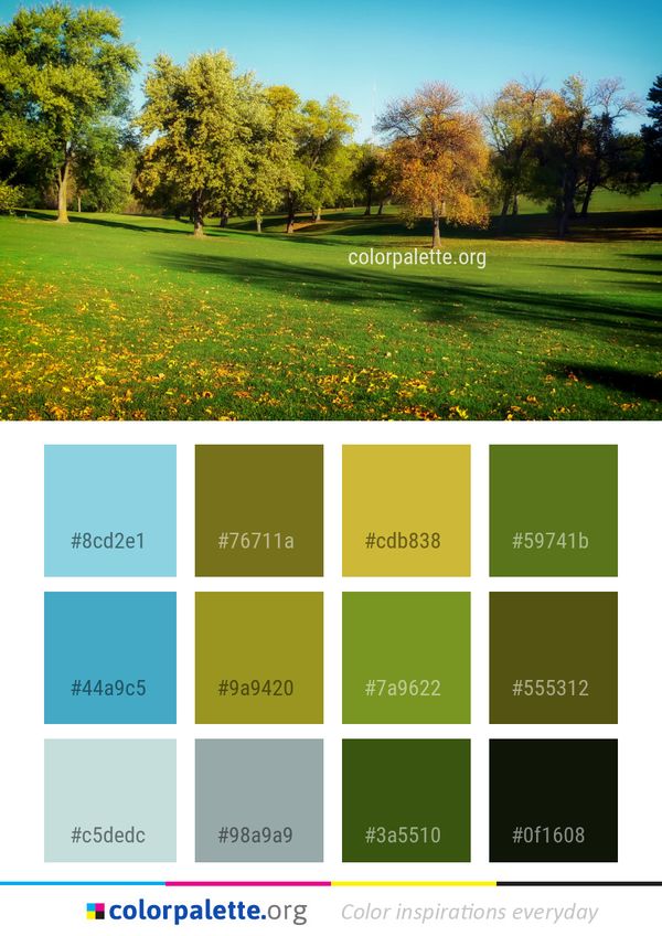 Nature Leaf Grassland Color Palette