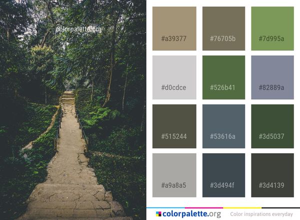 Nature Path Tree Color Palette