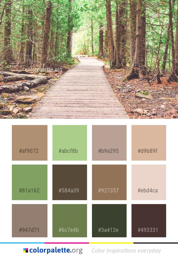 Path Woodland Nature Reserve Color Palette