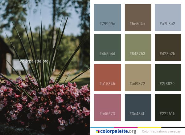 Plant Flower Flora Color Palette