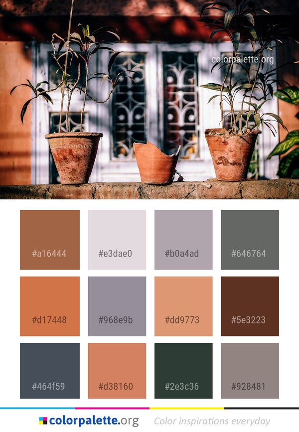 Plant Flower Tree Color Palette