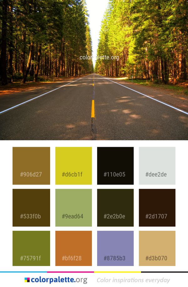 Road Path Lane Color Palette