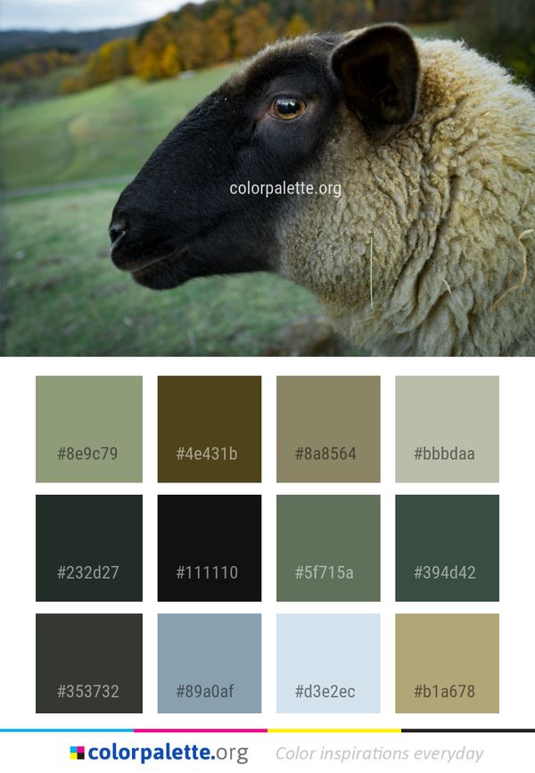 Sheep Fauna Color Palette