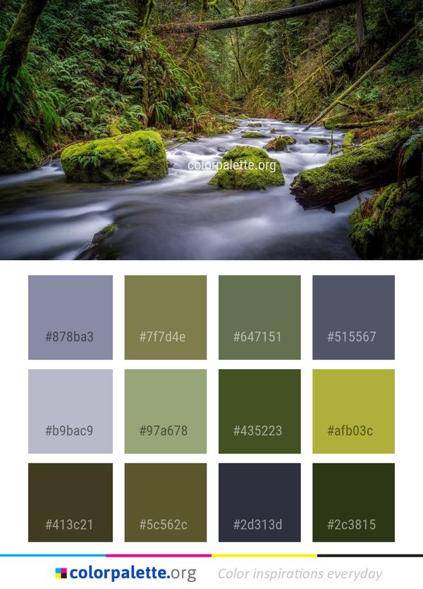 Stream Water Nature Color Palette