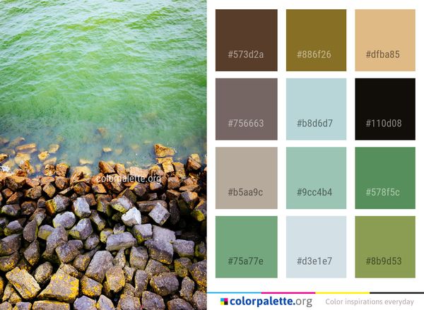 Water Rock Shore Color Palette