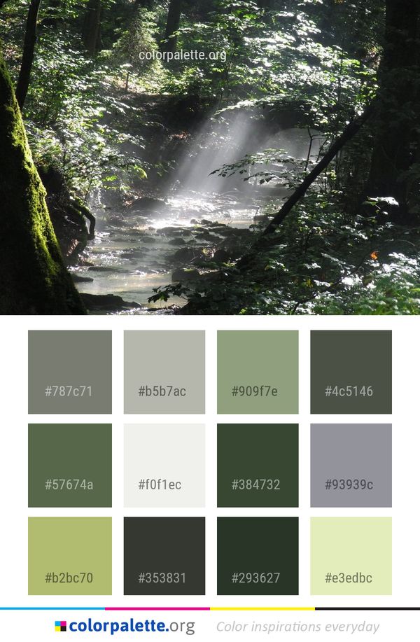 Waterfall Water Nature Color Palette