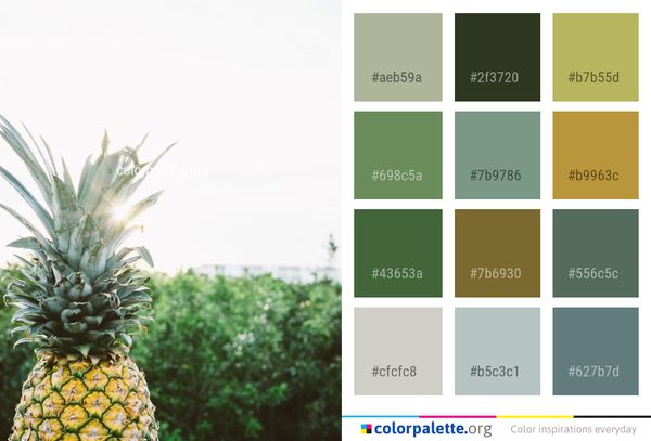Ananas Pineapple Plant Color Palette