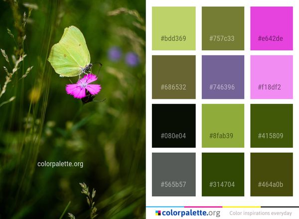 Butterfly Moths And Butterflies Flora Color Palette