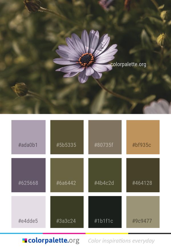Flower Flora Plant Color Palette