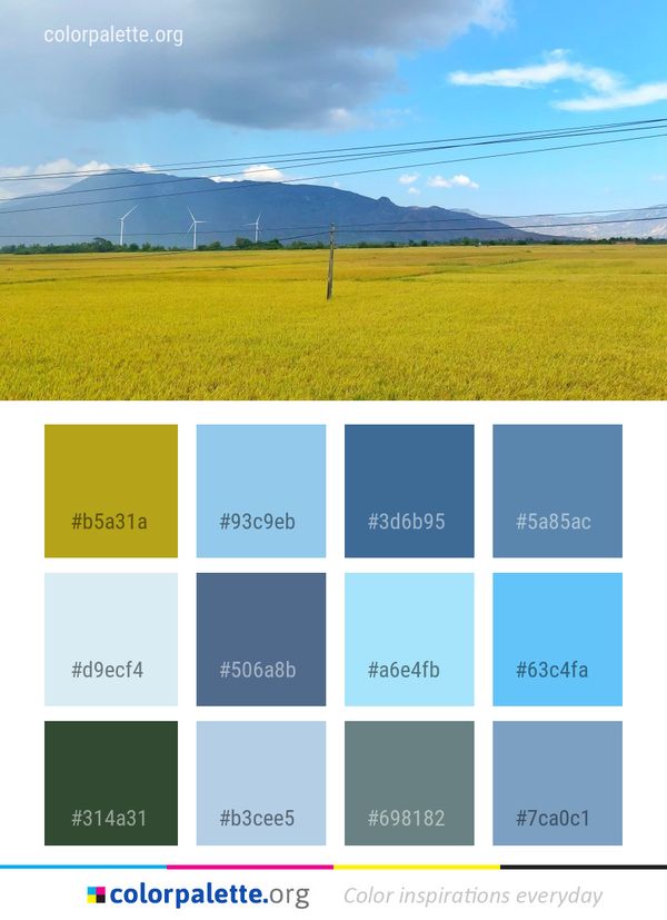 Grassland Ecosystem Field Color Palette