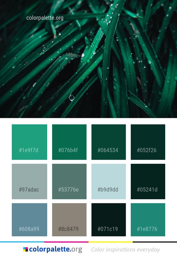 Green Water Close Up Color Palette
