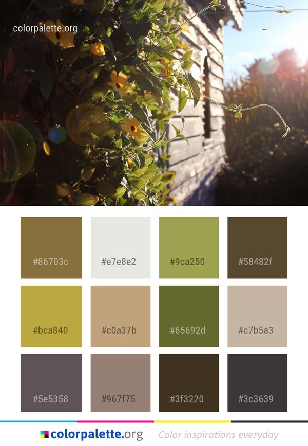 Leaf Plant Flora Color Palette